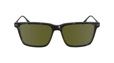 Lacoste L6017S Havana Grey/Green #colour_havana-grey-green