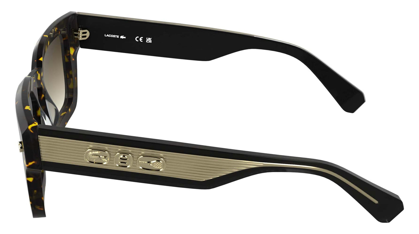 #colour_dark-havana-brown