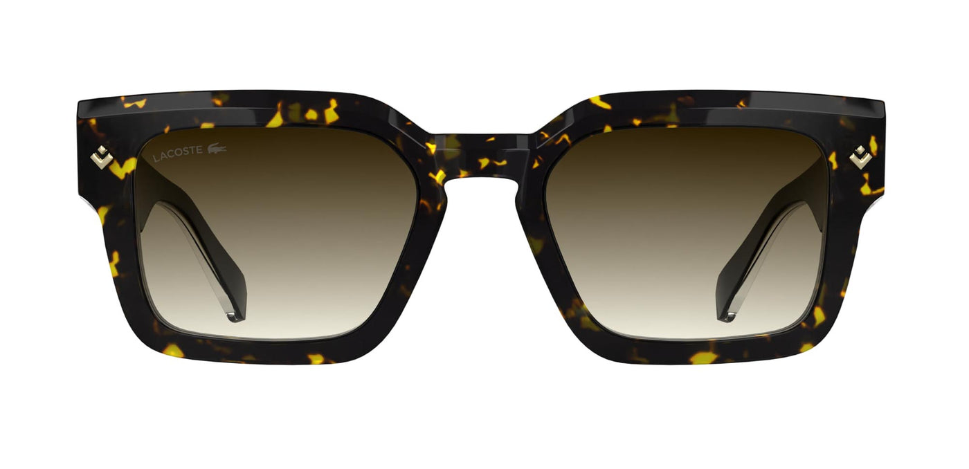 #colour_dark-havana-brown