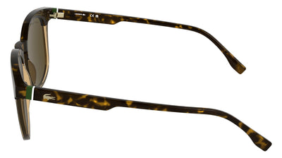 #colour_havana-transparent-caramel-brown