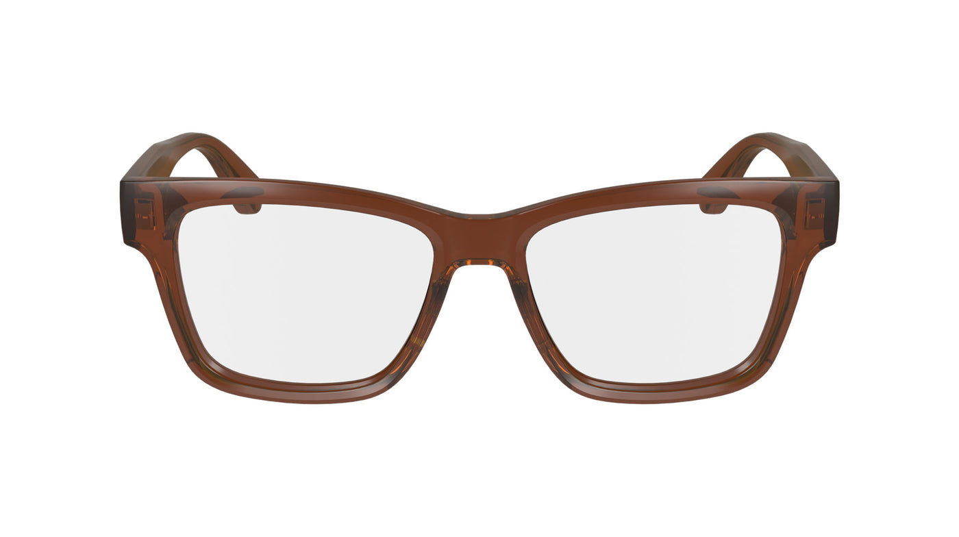 Longchamp LO2737 Transparent Rust #colour_transparent-rust
