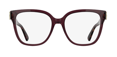 #colour_transparent-burgundy