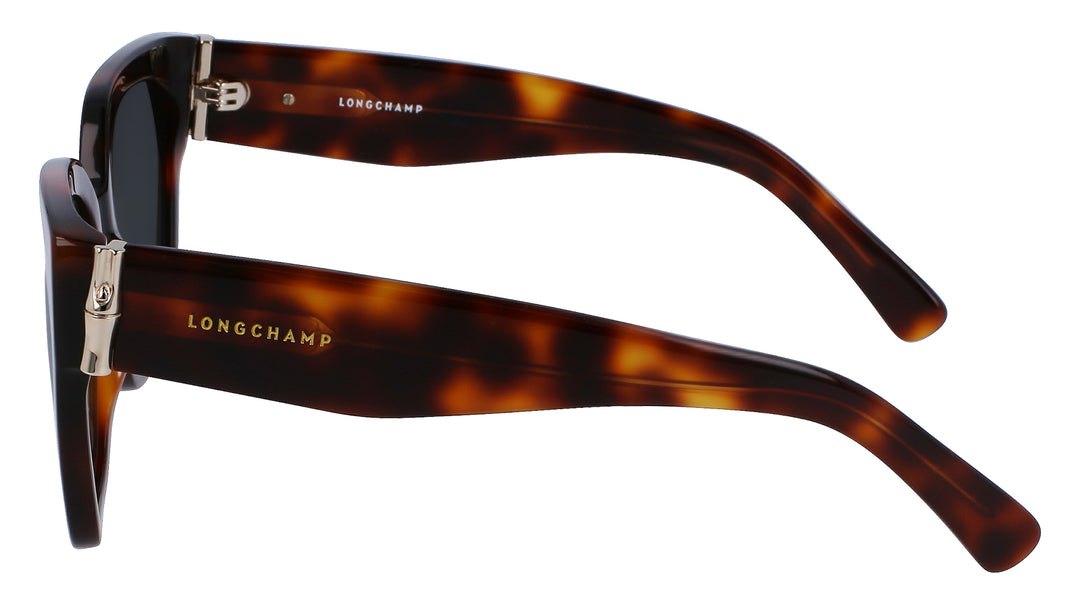 Longchamp LO732S Acetate Sunglasses | Fashion Eyewear US display picture 1