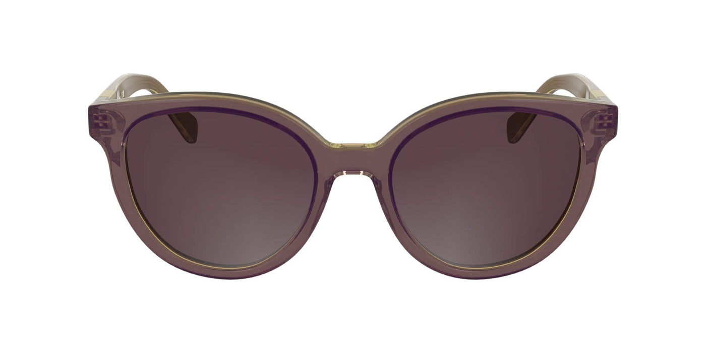 #colour_glitter-purple-brown