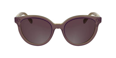 #colour_glitter-purple-brown