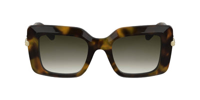 #colour_brown-green-havana-grey