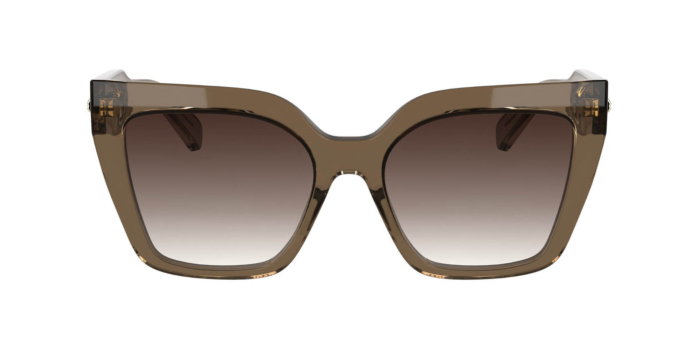 #colour_transparent-nude-brown