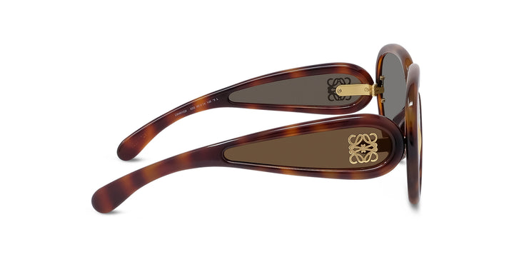 Loewe Paula's Ibiza LW40132I Cat Eye Sunglasses | Fashion Eyewear US