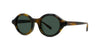 #colour_shiny-havana-green