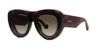 #colour_shiny-havana-brown