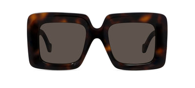 #colour_shiny-dark-havana-brown