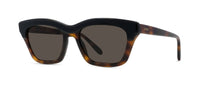 #colour_shiny-dark-havana-brown