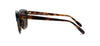 #colour_shiny-dark-havana-brown