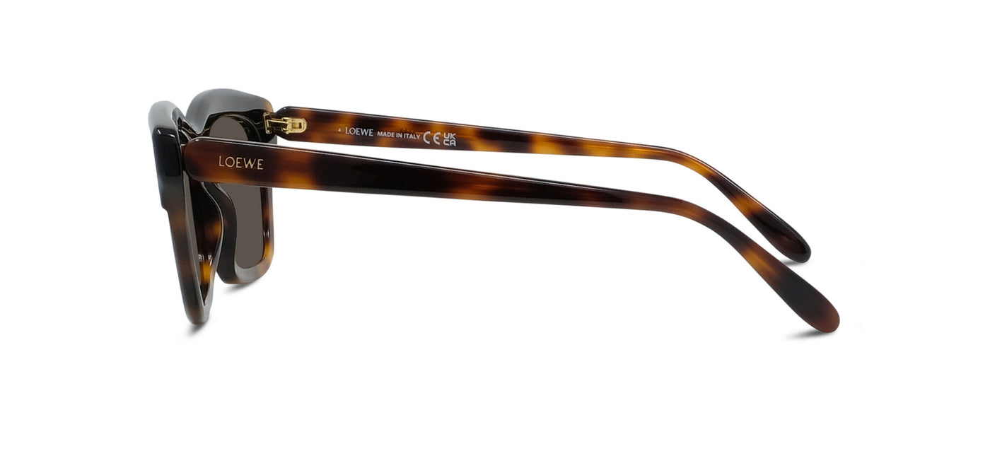 #colour_shiny-dark-havana-brown