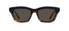 #colour_shiny-dark-havana-brown