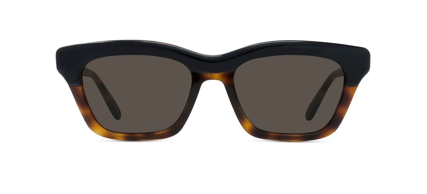 #colour_shiny-dark-havana-brown