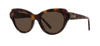 #colour_shiny-dark-havana-brown