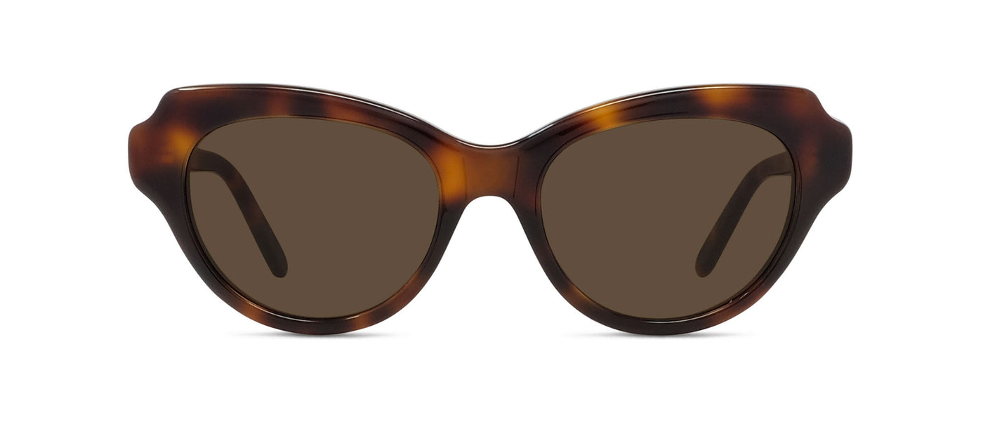 #colour_shiny-dark-havana-brown