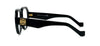 #colour_shiny-black