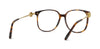 Loewe Anagram LW50122I#colour_havana