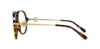 Loewe Anagram LW50123I#colour_havana