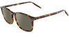 #colour_classic-tortoise-mineral-silver-polarised