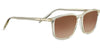 #colour_clear-brown-polarised