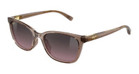 #colour_brown-pink