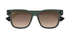 #colour_grey-bronze-polarised