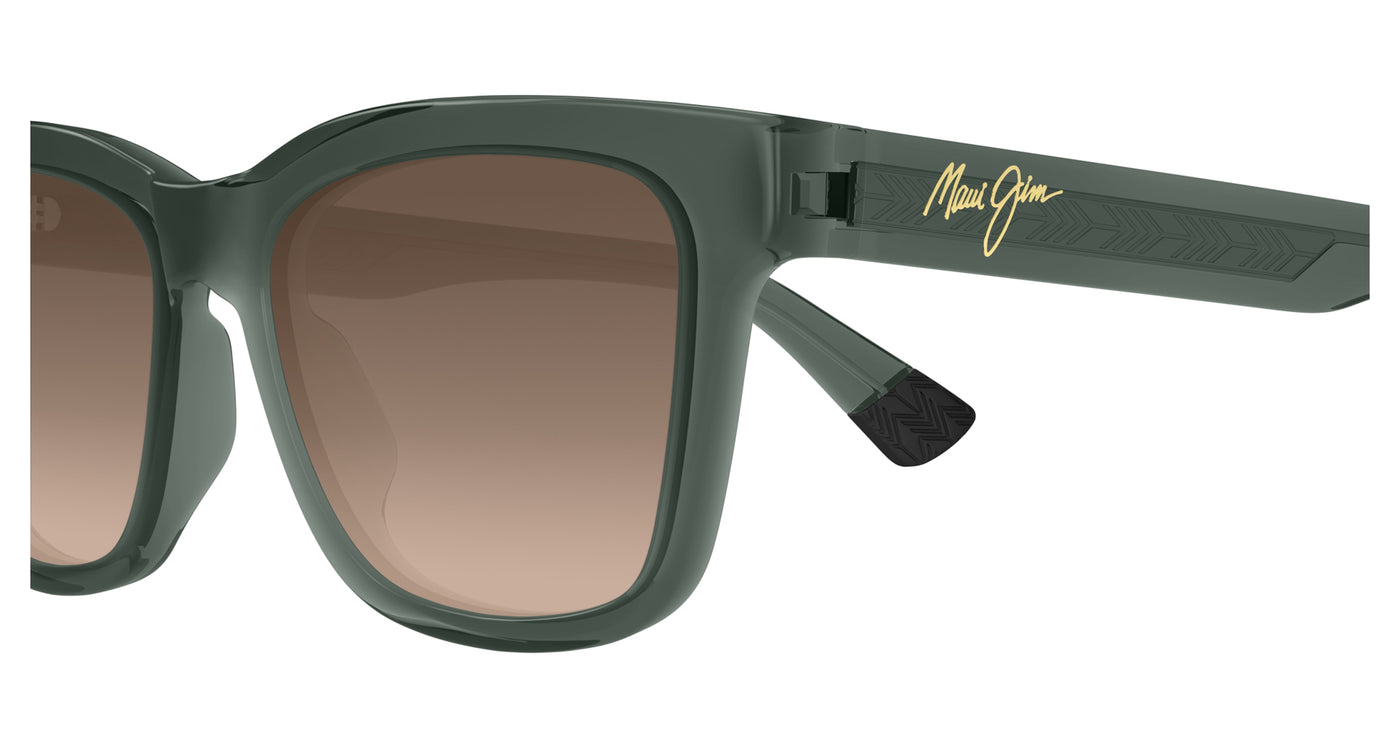 #colour_grey-bronze-polarised