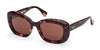 MaxMara Elizabeth 1 MM0170 Coloured Havana/Brown #colour_coloured-havana-brown
