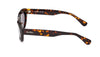 MaxMara MM0203#colour_dark-havana-smoke