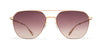 #colour_champagne-gold-cedar-brown-gradient