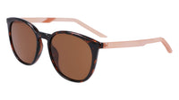 #colour_tortoise-brown