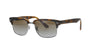 Matt Havana Rayban Polarised Sunglasses