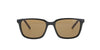 Brown Rectangle Ted Baker Sunglasses