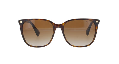 Square Havana Ralph Lauren Sunglasses