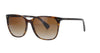 Square Havana Ralph Lauren Sunglasses