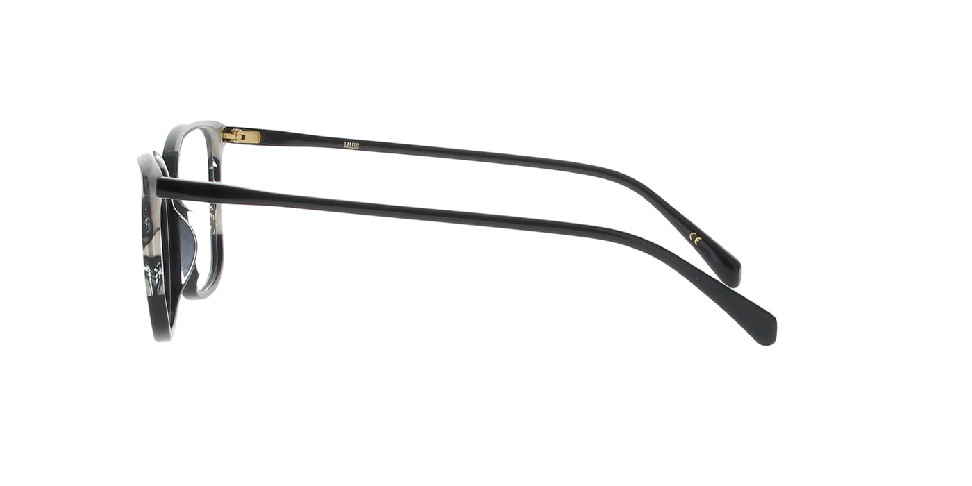 Black and Beige Butterfly Kaleos Frame