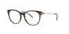Glossy Dark Tortoise Ralph Lauren Frame