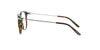 Glossy Dark Tortoise Ralph Lauren Frame