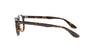 Glossy Havana RAYBAN Round Frame