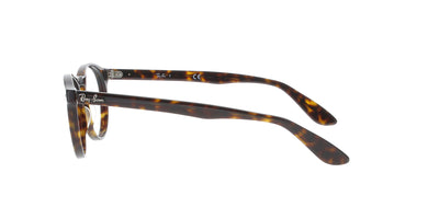 Glossy Havana RAYBAN Round Frame