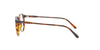 RALPH LAUREN Round Shiny Havana Frame