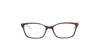 RALPH LAUREN Havana On Blue Frame