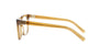 Miu Miu Frame