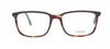 #colour_brown-tortoiseshell