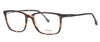#colour_brown-tortoiseshell