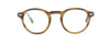 #colour_brown-tortoise