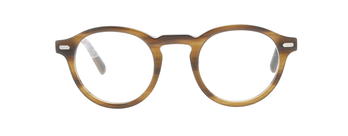 #colour_brown-tortoise